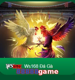 88888game